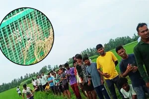 Bareilly: हाफिजगंज की बंद फैक्ट्री से पकड़ा तेंदुआ...एक महीने से खेल रहा था आंख-मिचौली