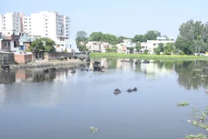 Bareilly: सीएम ग्रिड...स्टॉर्म वाटर ड्रेन से डेलापीर तालाब में संचय होगा वर्षा जल