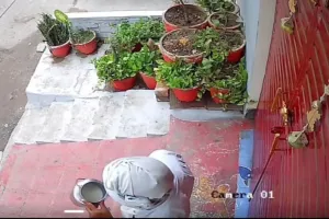  लखनऊ : डिब्बे में थूककर दिया दूषित दूध, सीसी फुटेज में कैद हुई हरकत, आरोपित को पुलिस ने पकड़ा