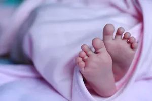 पीलीभीत: इस हफ्ते जन्मे नवजातों को वन विभाग देगा ग्रीन गोल्ड सर्टिफिकेट