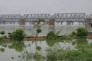 गंगा-यमुना का उफान : बाढ़ का पानी कछारी इलाकों में घुसा, हजारों प्रभावित