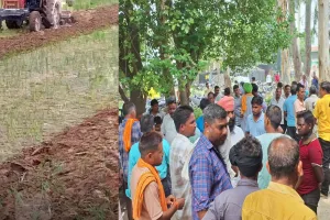 शाहजहांपुर: बिजली गुल रहने से नहीं हुई सिंचाई...मायूस किसान ने धान की फसल पर चलाया ट्रैक्टर