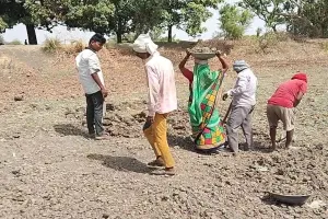 शाहजहांपुर: पड़ताल...मनरेगा से मजदूरों का मोहभंग, अनियमित मजदूरी बनी कारण