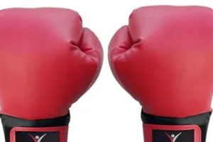  साक्षी ने विश्व मुक्केबाजी कप में स्वर्ण पदक जीता 