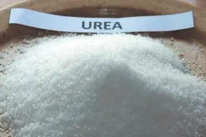 लखीमपुर खीरी: खाद वितरण के दौरान समिति कर्मचारियों से विवाद, हाथापाई भी हुई