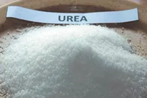 लखीमपुर खीरी: सहकारी केंद्रों पर यूरिया नहीं,  प्राइवेट दुकानदार काट रहे चांदी