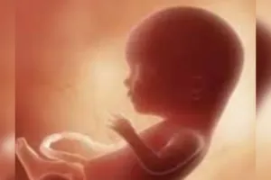 बरेली : महिला ने झाड़ियों में फेंका पांच महीने का भ्रूण, बेटे ने दर्ज कराया मां के खिलाफ भ्रूण हत्या का मुकदमा