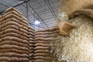 कारोबार: चावल निर्यात बढ़ाने के लिए फिलीपींस जाएगा भारतीय प्रतिनिधिमंडल 