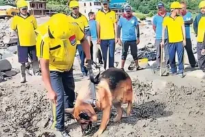 उत्तराखंड में आई आपदा में मददगार बने दो जर्मन शेफर्ड,  भीषण बाढ़ में लापता लोगों की कर रहे खोज