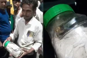 जिस सांप ने डसा, उसी को लेकर पहुंच गया अस्पताल, बोला- जल्दी करो इलाज... इसी ने काटा है डॉक्टर साहब...