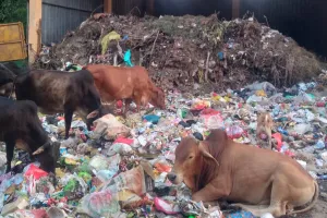 वृंदावन योजना में पड़ाव घर के बाहर सड़क तक फैला कूड़ा, लॉयन इन्वायरो पर जुर्माना लगने के बाद भी नहीं सुधरे हालात