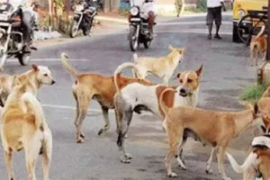 आवारा कुत्तों का आतंक, कुशीनगर में महिला को नोच-नोच मार डाला