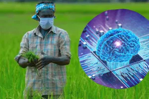 खेत को कब कितनी खाद, पानी और दवा, सब बताएगा AI, IIT Kanpur के स्टार्टअप सृजन ने तैयार किया ऐप