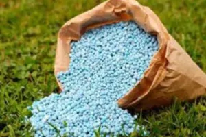 28 किसानों को बेच दी एक-एक मीट्रिक टन यूरिया... कृषि विभाग का ऐलान- अधिक खरीद की राजस्व करेगा जांच, किसान इन नंबर पर कर सकते हैं शिकायत