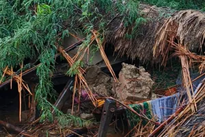 अमेठी में छप्पर पर पेड़ गिरने से हादसा: बेटी की मौत, पिता घायल