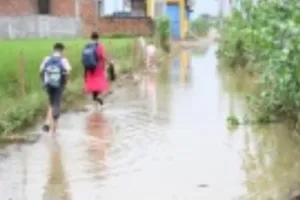 फैजुल्लागंज में जलभराव से मामा कॉलोनी में फैल रहा संक्रामक रोग, उल्टी दस्त के दो और बुखार के 14 नए मरीज मिले