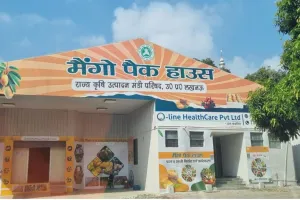 आम के निर्यात में कमी के चलते पैक हाउस का घाटा, सब्जियों के एक्सपोर्ट की योजना 