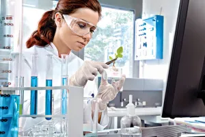 कृषि और दवाओं पर वनस्पति विज्ञान विभाग करेगा शोध, सरकार की ओर से मिला 1 करोड़ 80 लाख का प्रोजेक्ट