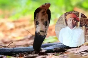 किसान की मौत पर यूपी सरकार देगी 4 लाख की सहायता: जहरीले साप के काटने से हुई थी मृत्यु, परिवार में मचा   कोहराम 