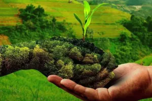 प्राकृतिक खेती मिशन में लापरवाही बरतने पर होगी कार्रवाई, कृषिमंत्री ने मिशन की समीक्षा कर दिए निर्देश 