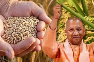 किसानों को तोहफा: उन्नत बीजों की मांग पूरी करेगी सरकार, गेहूं की बोवाई के लिए क्षेत्रफल बढ़ाएगा कृषि विभाग 