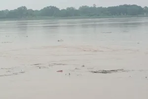 पश्चिमी यूपी में भारी बारिश के चलते भदोही जिले में उफान पर गंगा, DM ने दिए तटीय क्षेत्र के गांवों में निगरानी बढ़ने के निर्देश 