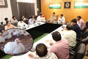 बड़ी खबर : रामपुर में अंडो और चिकन की ब्रिकी पर रोक...बर्ड फ्लू का मंडराया साया