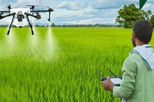 Bareilly: गन्ने को कीटों से बचाने को ड्रोन से होगा कीटनाशक का छिड़काव