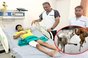 Bareilly : कुत्तों का आतंक...स्कूल से निकले चार बच्चों पर किया हमला, एक घायल