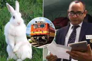 Bareilly: ट्रेन में खरगोश बिना टिकट कर रहा था सफर...जानिए TTE ने क्या किया