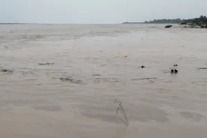 पीलीभीत : मैदानी क्षेत्रों में तबाही मचा रहा पहाड़ों का पानी, मझोला-सितारगंज सड़क कटी, उफान पर नदियां 