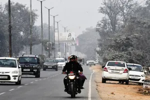 Bareilly : 582 पेड़ों पर चलेगी आरी, बदले में 6.39 करोड़ देगा पीडब्ल्यूडी