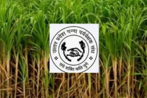 लखनऊ: गन्ना पर्यवेक्षक संघ ने डिजिटल क्रॉप सर्वे से मुक्ति की उठाई मांग, कहा- नहीं है यह हमारा काम