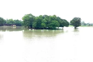 उफान पर सरयू, लाल निशान से 25 सेमी ऊपर : आधा दर्जन गांव जलमग्न, पलायन शुरू