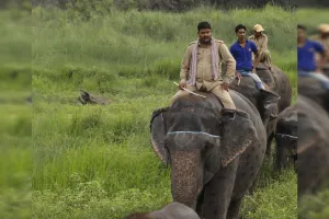 लखीमपुर खीरी: दुधवा के महावत इरशाद को मिलेगा गज गौरव सम्मान 