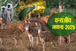 वन्यजीव गणना-2025 : वन्यजीवों ने बदायूं को बनाया नई पनाहगाह, बरेली से बना रहे दूरी