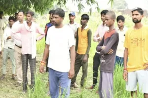 UP: प्रेमी और प्रेमिका के शव एक साथ फंदे पेड़ पर लड़के मिले...दोनों परिवारों में मचा कोहराम