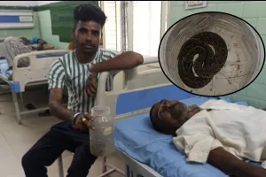 Bareilly : किसान डिब्बे में बंद सांप लेकर पहुंचा अस्पताल, चारा काटते वक्त डस लिया था