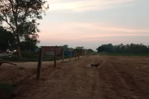 बाराबंकी: लोधेश्वर महादेवा कॉरिडोर के नाम पर जबरन जमीन कब्जे का खेल, एसडीएम से गुहार