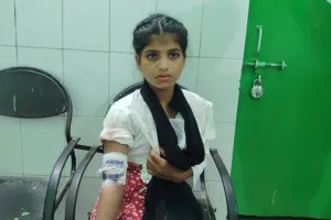 सीतापुर में कुत्तों के आतंक से दहशत में हैं लोग, लहरपुर में 12 लोगों को नोचा