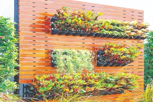 शब्द रंग : घरों में हरियाली का तरीका वर्टिकल गार्डनिंग