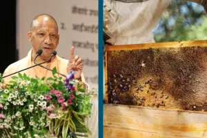 स्वरोजगार के लिए मधुमक्खी पालन का निःशुल्क प्रशिक्षण देगी सरकार, 16 सितंबर तक कर सकते हैं आवेदन, जानें पूरी Details
