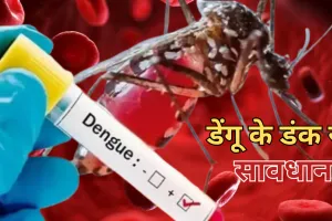 Health Alert: डेंगू को लेकर सतर्क रहे लोग, 10 हजार से कम हो तभी चढ़वाएं प्लेटलेट्स, जानें क्या बोले डॉक्टर