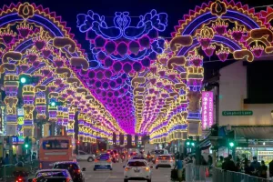 सिंगापुर में दीपावली उत्सव... मणिपुर के सांस्कृतिक दल ने दी शानदार प्रस्तुति