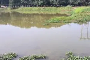 तालाबों को अमृत सरोवर के रूप में विकसित करें जिला पंचायतें, पंचायती राज मंत्री बोले- रेन वाटर हार्वेस्टिंग को दें प्राथमिकता 