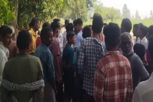 पीलीभीत: गन्ने के खेत में भैंस को खींच ले गया बाघ, ग्रामीणों में वन विभाग के खिलाफ आक्रोश