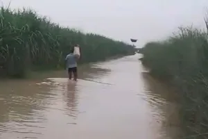 खतरे के निशान से ऊपर बाह रही घाघरा, लगातार खराब मौसम के चलते बाढ़ की आशंका ने बढ़ाई मुश्किलें