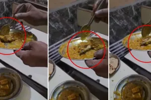पनीर की सब्जी में मरा चूहा...बदायू में एक ढाबे के खाने में अजीब सी चीज देख ग्राहक के उड़े होश, सामने आया वीडियो