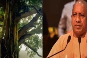 शहर में विरासत वृक्षों पर योगी सरकार का बड़ा फैसला, विशेष दर्जा देगा वन विभाग, 100 से 200 वर्ष पुराने 20 पेड़ों की पहचान