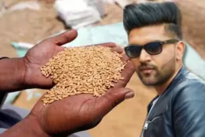 पंजाब में बाढ़ प्रभवित किसानों की मदद करेंगे गुरु रंधावा, गेहूं की फसल के लिए बीज देंगे सिंगर 